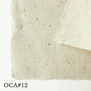 荗 AS OCA#12 a 荗 t 唻 H  `}bg ~ Jgi[W    ^ y[p[ AoJ ݊k