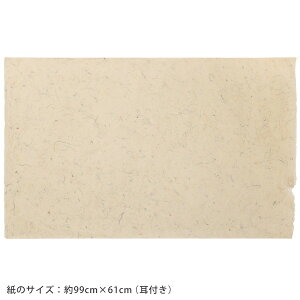 荗 }j   99cm×61cm 1fޓa t Rfޘa i`