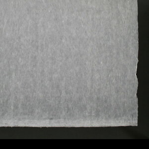 荗  ni1 / tj100 91 × 61cm a  bsOy[p[ 