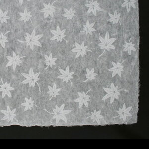 荗  ݂i1 / tj100 91 × 61cm a  bsOy[p[ 