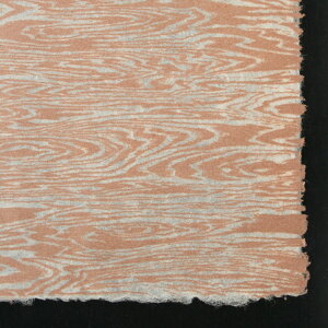 荗  ؖ i1 / tj100 91 × 61cm a  bsOy[p[ 