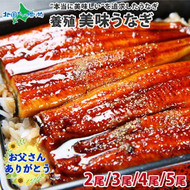 うなぎ 蒲焼き 2尾/3尾/4尾/5尾(ウナギ ギフト 鰻 土用の丑の日 ウナギの蒲焼き お取り寄せ グルメ 海鮮 ギフト 鰻 父の日 プレゼント うなぎ 父の日ギフト 食べ物 魚 送料無料 お中元 ギフト ごちそう 料理 食品 お見舞い 快気祝い 内祝い お返し gift set お土産 就職祝い)