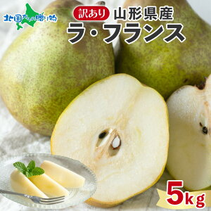 R`Y 󂠂 EtX(2kg/5kg)oח\F11{-12{ m miV tX  A P ʕ t[c { fU[g XC[c mَq J ґ yY Mtg O