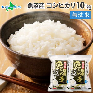 yߘa7NYz Y RVqJ A(5kg/5kg/10kg/10kg)VY ~ n Ђ 5kg 10kg VY A    ȒP y  ͂  H 