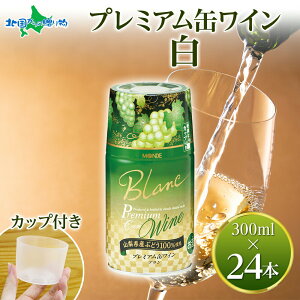 v~AʃC  300ml 24{ f ʃC C pJbvt h RYbB Ԃǂ  bB C Mtg  ΕMtg  ΕMtg ʎ a