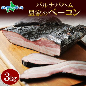 oion _Ƃ̃x[R 300g/1kg/3kg(kCyY yY 󂠂 Ɩp ubN bbq x[R Ⓚ n O   ΕMtg Hו ΕMtg hV̓v[