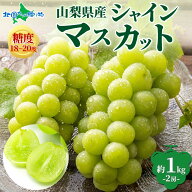 シャインマスカット2房 約1kg 山梨県産 ブドウ マスカット 残暑 見舞い 山梨 シャインマスカット 産地 直…