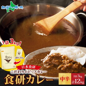 大容量 特大 日本食研 カレー レトルト 食研カレー 3kg 4袋 計12kg 業務用 レトルトカレー レトルト食品 お取り寄せ 送料無料 常温保存 まとめ買い set 備蓄 食料 カレー ギフト 食べ物 誕生日プレゼント gift お土産 北国からの贈り物 産直ギフト
