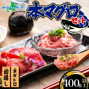 本マグロセット ギフト対応 まぐろ たたき ねぎとろ マグロ入り 簡単 鮪 本鮪切落し 養殖 天然本鮪ねぎとろ 切り落とし 高級 ギフト プレゼント 誕生日 パーティー 見舞い 魚 海鮮 寿司 送料