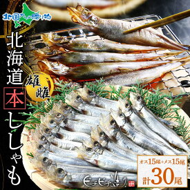 北海道産 本ししゃも 子持ちししゃも オス メス 各15 計30(シシャモ 干物セット ししゃも 北海道土産 おみやげ 北海道 お土産 海鮮ギフト 送料無料 ギフト 魚 食べ物 内祝いお返し グルメ 海産物 高級 gift set 北国からの贈り物 産直ギフト