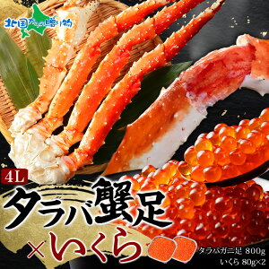 ^oKj800g ݖЂ80gx2 Zbg(Jj Mtg   ΕMtg Hו ΕMtg ^oI ΂ 䥂ŊI {C CN ݖЂ CN  CN 芪i 