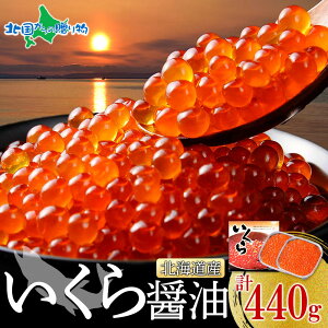 kCY ݖЂ Mtg220g(1/2)瘥 yY kCyY VR  CN ݖЂ  Mtg  O CN gift CN  av[g 