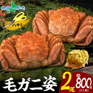 уKj p 2 v800g2lO 1400g {C Ig IX  ΕMtg Hו Jj  ΕMtg ъI т  PKj 䥂 I ݂ ɂ݂ ɖX I 񂹃O