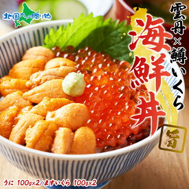 うに 鱒いくら 海鮮丼 セット(うに100gx2個 鱒いくら醤油漬け100gx2個) 海鮮 ギフト イクラ醤油漬け うに丼 雲丹 ブランチ ウニ いくら 冷凍 北海道加工 イクラ丼 うにいくら丼 送料無料 食べ物 ギフト 海鮮 福袋 プレゼント 北国からの贈り物 産直ギフト