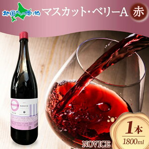 ԃC NOVICE }XJbgEx[[A 1800ml×1{ t{g 쒆 R Js