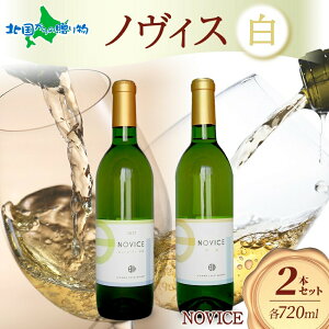 白ワイン NOVICE ノヴィス 白 2種 セット シュール・リー 甲州&甲州 720ml 各1本 計2本 フルボトル 日川中央葡萄酒 山梨県 笛吹市 北国からの贈り物 産直ギフト