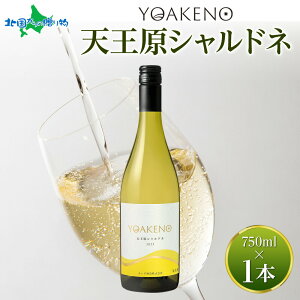 YOAKENO VVhl 750ml f C Vhl C h ʎ   ΕMtg  ΕMtg Lv BBQ o[xL[ gift p av[g N