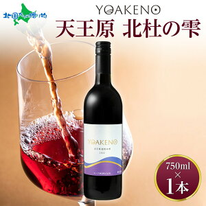 YOAKENOVkm̎ 750ml f ԃC ăMtg  c ʎ  C hV̓v[g  hV̓ Mtg yY R YC BBQ o[xL[ p[