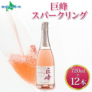 Xp[NO 720ml 12{Zbg f Xp[NO C   Ԃǂ ʎ hV̓Mtg  hV̓ v[g  c ăMtg Lv BBQ o[x