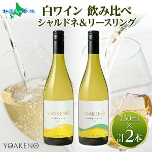 YOAKENO Cݔ VVhl MZ[XO e1{ f C ΕMtg   ΕMtg ʎ av[g gift set Lv BBQ p[eB[ a