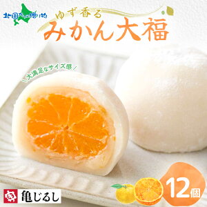 䂸݂啟 MtgBOX 6/12 t[c啟 ݂ aَq Mtg fU[g XC[c 啟 Mtg Ⓚ Ε Ε Mtg XC[c 񂹃XC[c T󐻉  k