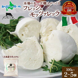 超金賞受賞 イタリアのチーズ職人がつくる モッツァレッラ チーズ 100g(2/3/5個)お花見 おつまみ チーズ 送料無料 食べ物 内祝いお返し 誕生日プレゼント ホワイトデーのお返し ギフト オードブル ごちそう お土産 北海道土産 食品 北国からの贈り物 産直ギフト