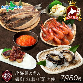 冬ギフト 豪華 北海道産 海鮮お取り寄せ便 彩 6種セット 送料無料 エビ いくら 干物 アワビ 刺身 海鮮 福袋 宝箱 魚介類 冬ギフト 北海道土産 お土産 グルメ オードブル おせち料理 年越し 北国からの贈り物 産直ギフト