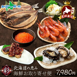 Nzw Ε Mtg  kCY CN񂹕  6Zbg  Ar    hg ϒO kCY   Mtg  CN ڈ ڈ΃Ar G