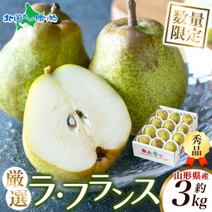 R`Y GitX 3kg oח\F11{`12{oח\ R` m R` miV mȂ R`Y tX R`  ʕ  t[c { fU[g XC[c mَq 