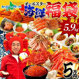 海鮮オールスター福袋5万円 (総額7万8000円相当が35％OFF！豪華16品)北海道海鮮セット タラバガニ足 ズワイしゃぶ ズワイ姿 ズワイガニ足 毛蟹 花咲蟹 いくら 魚卵 松前漬け 海鮮福袋 2026福袋 カニ ギフト 送料無料 ごちそう オードブル 北国からの贈り物 産直ギフト