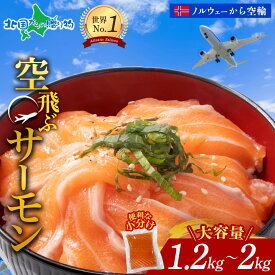 大容量 空飛ぶサーモン (1.2/1.4/1.6/1.8/2kg)ノルウェー産 アトランティックサーモン ふるさと納税 小分け 高級 サーモン 刺身 冷凍 刺し身 お魚 送料無料 お歳暮ギフト 食べ物 冬ギフト 誕生日プレゼント お刺身 生食 海鮮丼 海産物 北国からの贈り物 産直ギフト