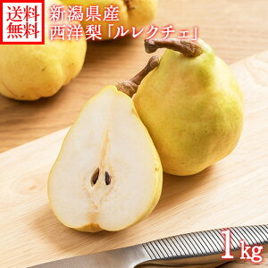 ~ Mtg miV N`F v1kgO VY m EN`F  m gift tX N`G t[c Ε ʕ Mtg  Hi Ε Mtg ꂭ m  Hו