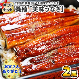 うなぎ 蒲焼き 2尾/3尾/4尾/5尾(ウナギ ギフト 鰻 土用の丑の日 ウナギの蒲焼き お取り寄せ グルメ 海鮮 ギフト 鰻 父の日 プレゼント うなぎ 父の日ギフト 食べ物 魚 送料無料 お中元 ギフト ごちそう 料理 食品 お見舞い 快気祝い 内祝い お返し gift set お土産 就職祝い)