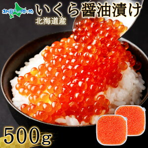 XŎIkCY肢ݖ(250g/500g)I  jZRX Ɛ CN CNMtg kCY   ΕMtg Hו ΕMtg yY kCyY CY gi
