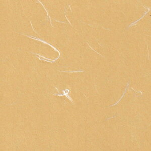 カラーバリエーション襖紙 ふすま紙 SI-7111