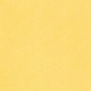 カラーバリエーション襖紙 ふすま紙 SI-7146