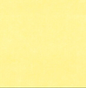 カラーバリエーション襖紙 ふすま紙 SI-7021