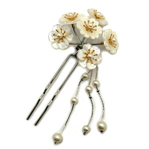  񂴂  Vo[ ԏ amp  ݂ǂ U K⒅   Ǝ l  w w p[eB[ a  hX wAANZT[ { P[X