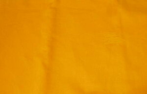 ERC~z@LБ吡݁@eiXpi@a@񐶒n@ERz@z