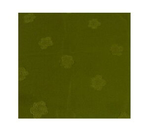 C~@ӂ낵@C~43 ōOタ߂@kɁ@с@ގс@ĂԂ