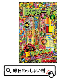 【10個セット】【手持ち 花火セット】 はなびーずS 花火 ハナビ はなび 花火セット ハナビセット はなびセット 手持ち花火 夏花火 手持ちたくさん ビンゴ 景品 子供