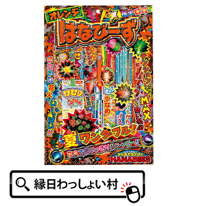 【10個セット】 はなびーずL 花火 ハナビ はなび 花火セット ハナビセット はなびセット 手持ち花火 夏花火 手持ちたくさん ビンゴ 景品 子供