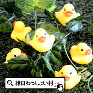 【100個セット】うきうきアヒルミニ 縁日 景品 夏祭り 子供会 お祭り ぷかぷか すくい用おもちゃ ミニサ…