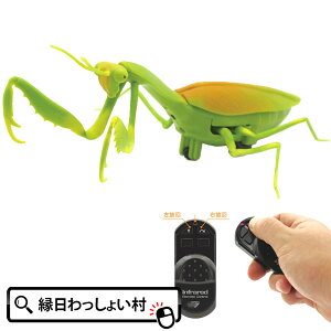 WR ԊORCJ}L  ii čՂ Ղ Ă܂  ܂ q ct ۈ牀 q v[g Mtg ߋ  NW Ă ܂  rSii q