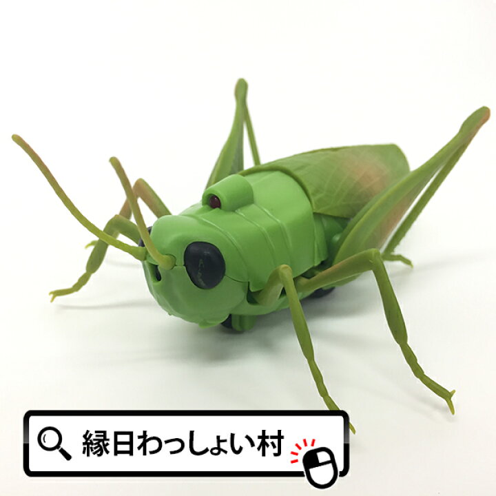 楽天市場 赤外線ラジコンバッタ 赤外線rc ラジコン おもちゃ 玩具 景品 子供 こども 大人 かわいい ユニーク 昆虫 虫 リアル 縁日 景品 夏祭り お祭り 夏まつり 子供会 幼稚園 保育園 子供 プレゼント ギフト クジ 当てくじ おまつり くじ ネットｄｅ縁日 わっしょい村