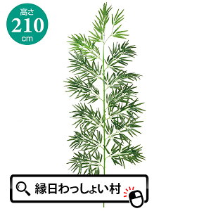[ [ ou[c[ 2100mm 210cm Bamboo Tree  ȒP ֗  lH CeA   V̐ F DP  肢 qǂ ǂ ۈ牀 ct wZ Ƒ t@~[ qǂ 