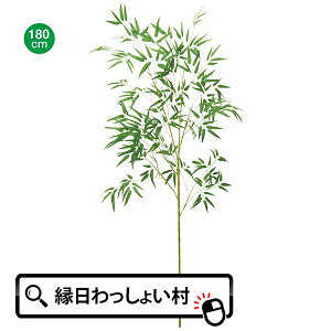 [ [  1800mm 180cm ou[c[ Bamboo Tree ȒP ֗  lH CeA   V̐ F DP  肢 qǂ ǂ ۈ牀 ct wZ Ƒ t@~[ qǂ 