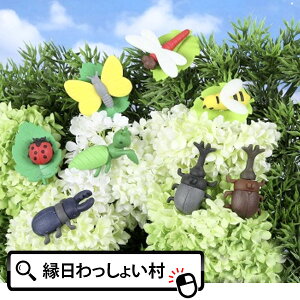 S  60 CR[ S PVS  { Y JugV NK^V ܂ ق [  ǂ qǂ qǂ ii ei v[g V