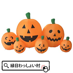 GA[fBXvC Ch pvL'S LTCY nEB WbNI^ Halloween ڂ nEB[ J{` pvL z[ 10 H Ղ qǂ ǂ ct wZ 