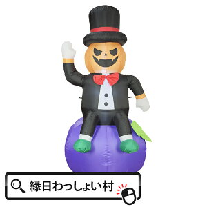 [rOGA[fBXvC nhEFCupvL Halloween nEB nEB[ f tHgWFjbN J{` WbNI^ 10 H Ղ qǂ ǂ  ct 